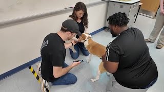 Nj Students Get Hands-On Engineering Experience While Helping Dog