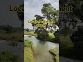 #youtubeshorts #minivlog #odishajajpur #travel #viralvideo #viralshorts