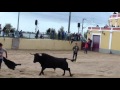 Largadas de touros em Vila Franca de Xira-Feira de Outubro 2015