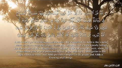 نُّورٌ عَلَىٰ نُورٍ ۗ يَهْدِي اللَّهُ لِنُورِهِ مَن يَشَاءُ ۚ-حسن علي - سوره النور