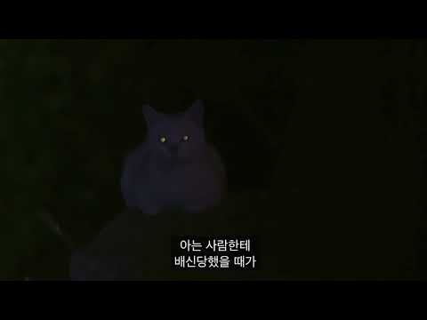 | 마크 | 아 무슨 이마크 목소리만 나오면 할리우드 영화같아