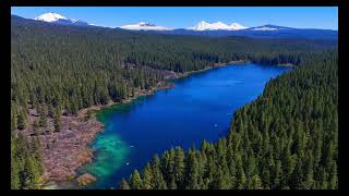 Oregon~Forest to Lake. DJI Mini 4 Pro