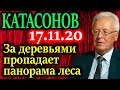 КАТАСОНОВ. Истинные причины повышенной смертности в 2020 году 17.11.20