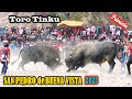 Toro tinku de san pedro de buena vista 2023 sambo avin vs satinadoroficial de alpro bo