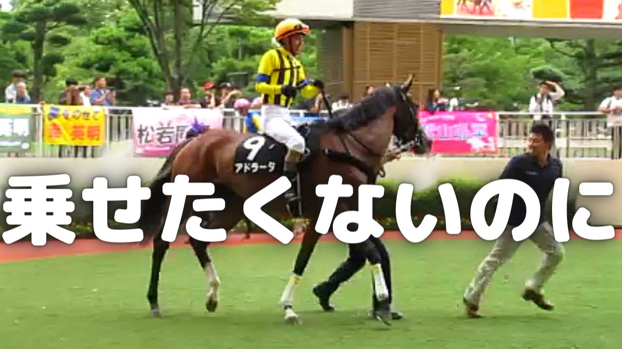 和田騎手を乗せまいとがんばるアドラータ　父オルフェーヴル　石坂厩舎