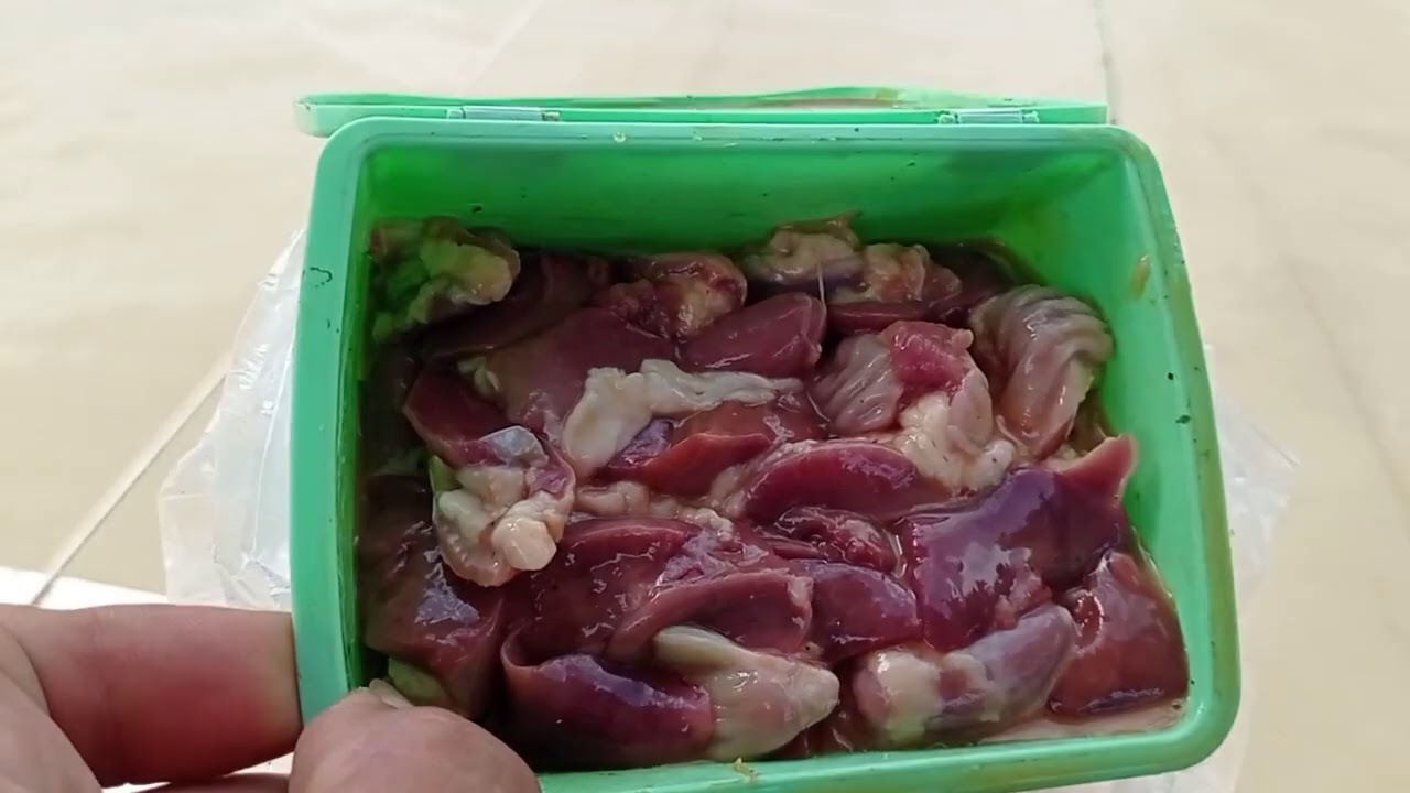 Umpan Paling Gacor Di Galatama Lele Simpel Dan Praktisi. Bahan Dasar Hati dan Ampla Ayam