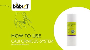 How to use Californicus-System from Biobest