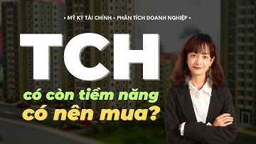 Cổ phiếu TCH - Có còn tiềm năng tăng giá? Có nên mua? - Phân tích tiềm năng tăng trưởng lợi nhuận