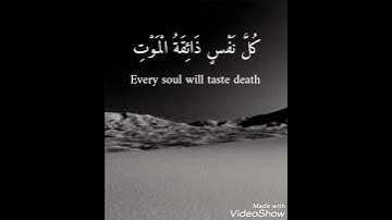قرآن كريم  كُلُّ نَفْسٍ ذَائِقَةُ الْمَوْتِ القارئ شريف مصطفى