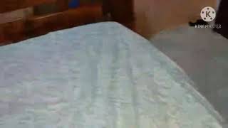 Vinheta Mbc 2018 V2 Atualmemte De Novo Logo Rpn 9 Radyo Ronda