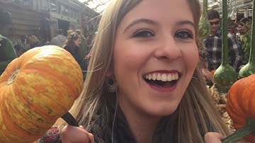 Delta Phi Epsilon - Formal Recruitment 2017