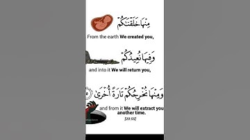 Quran القرآن الكريم #capcut #قران #اكسبلور #foryou #fypシ゚viral #fyp #islam #foryou