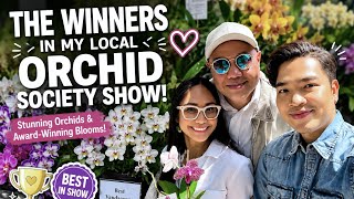 🌸 These Orchids Won the Show! 🏆 Local Orchid Society Winners 🌸 These Orchids Won the Show! 🏆 Local Orchid Society Winners
