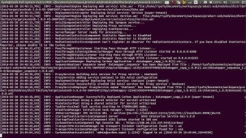 Remote debugging WSO2 products using intellij