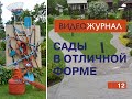 Видео журнал «Сады в отличной форме №12»