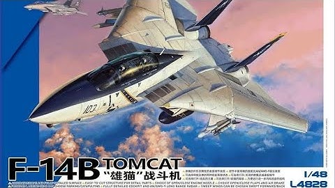 GWH F-14B Tomcat inbox review