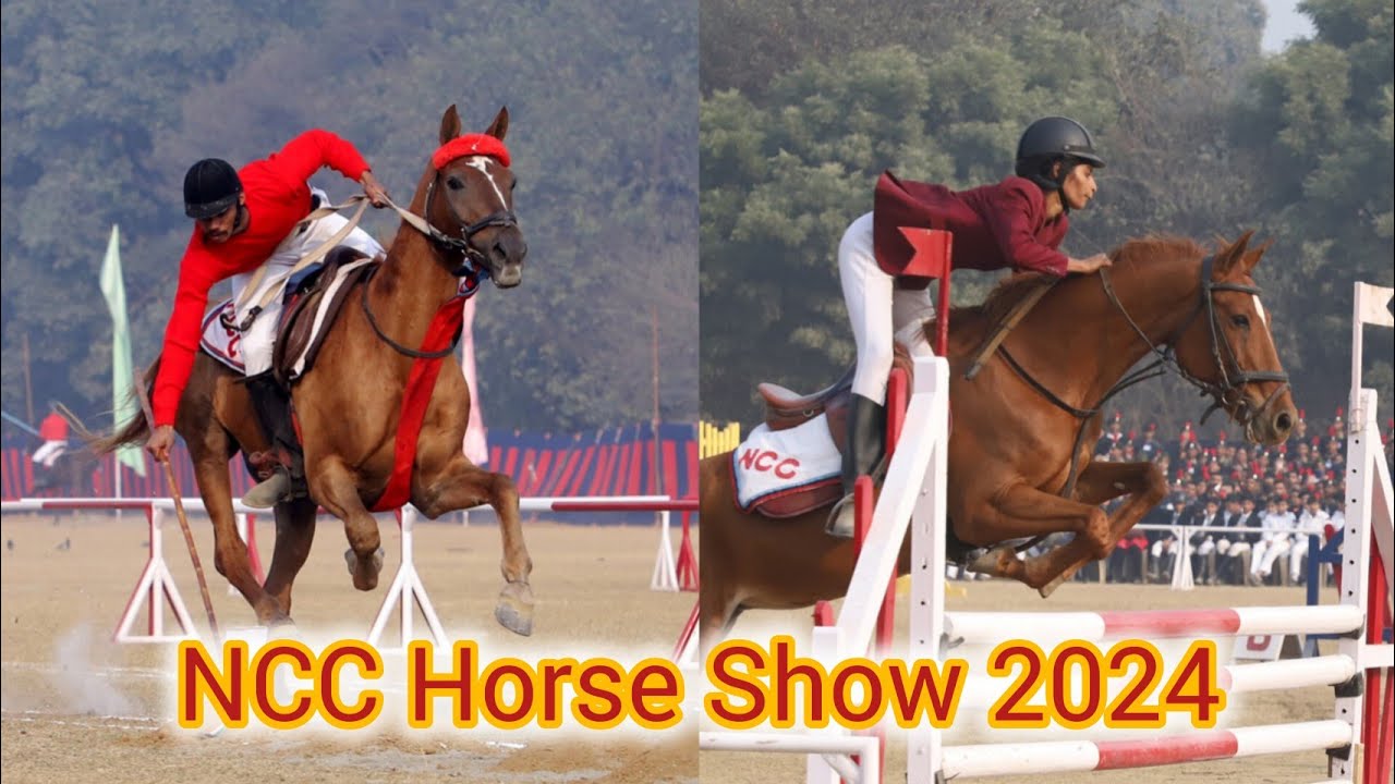 NCC Horse Show 2024 | RDC 2024 | REPUBLIC DAY CAMP 2024