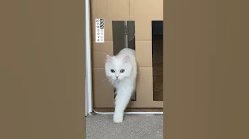 Mia And Reducing Passage How Thin Can She Be It Was A Huge Jump 