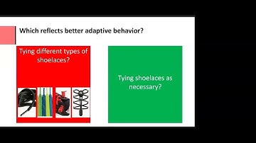 Do Autism Adaptive Behavior Profiles Really Exist
