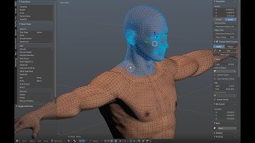 UMA 301 - Part 6: Splitting and Finalizing our Model