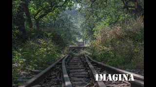 Imagina, Cover (João Mendes e DarkTridente)