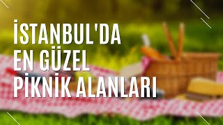 İstanbulda Pi̇kni̇k İçi̇n Nereye Gi̇di̇li̇r? İstanbulda En Güzel Pi̇kni̇k Alanlari Turi̇zm Günlüğü