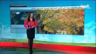 الخريف يبدأ في أغلب المناطق العربية الاسبوع المقبل
