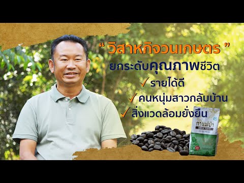 Forest Coffee : กาแฟป่า ชุมชนพัฒนาด้วยกาแฟ อ.เวียงป่าเป้า เชียงราย