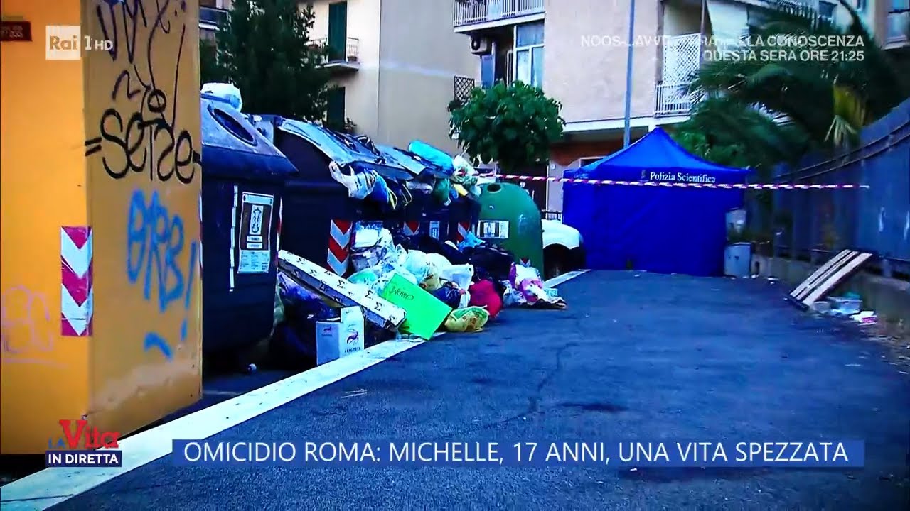 Arrestato l'assassino di Michelle - La vita in diretta 29/06/2023