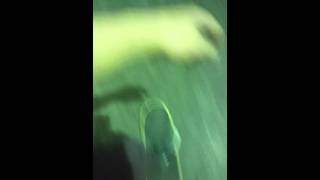 12 year old kid does double back flip on skateboard!