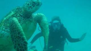Scuba Instruction, How to Dive!
