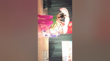 Múa quạt - Hương sắc Việt Nam. a11 Đồng Hỷ