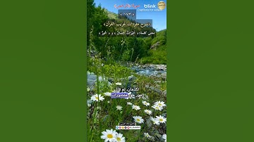 معنى كلمة:(خيرات حسان) و(حُور)١٧٣-شرح مفردات غريب القرآن ،سورة الرحمن، الشيخ خالد الحرمي.