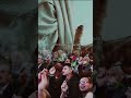 يبن الهادي احنه نادي يالغايب نهواك مولد الامام الحجه المنتظر عجل الله فرجه الشریف