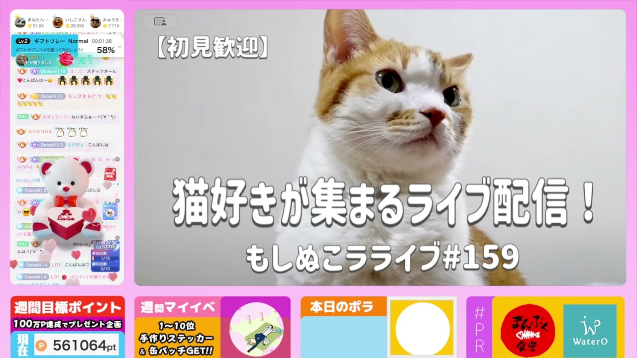 猫好きが集まるライブ配信！もしぬこラライブ#159(2024.4.14) - YouTube