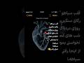 قلب سیاهو رگای سنگی استوری ناب