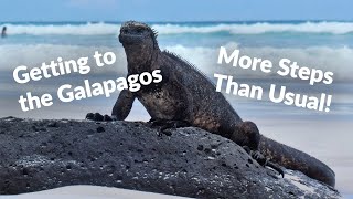 How to Get to the Galapagos: Flying from Mainland Ecuador to the Galápagos Islands