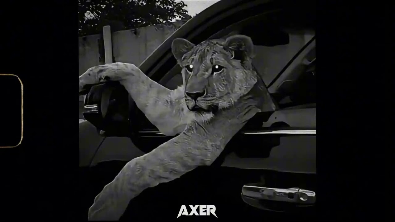 Dark Boom Bap Type Beat - 