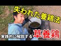 失われた養鶏法！煮草を活用した実践的な草養鶏をお教えします【自然卵養鶏法】