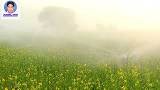 सरस म सपरकलर ससटम