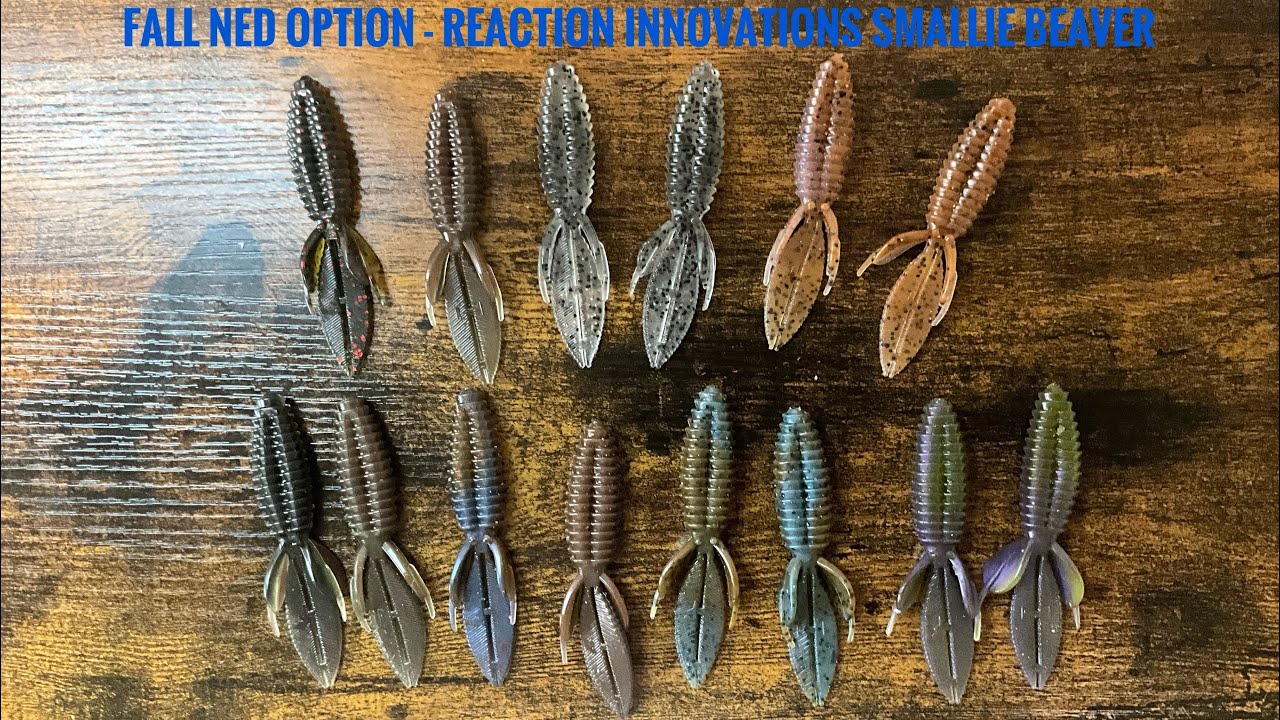 Fall Ned Option – Reaction Innovations Smallie Beaver