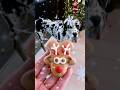 Advent calendar #chrsitmas dog treats  #dog #pets #fypシ #greatdane