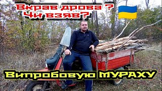 ПЕРШИЙ ВИЇЗД по ДРОВА 🌳 🇺🇦ПЕРВЫЙ ВЫЕЗД ЗА ДРОВАМИ(Испытал Муравья Мои впечатления)