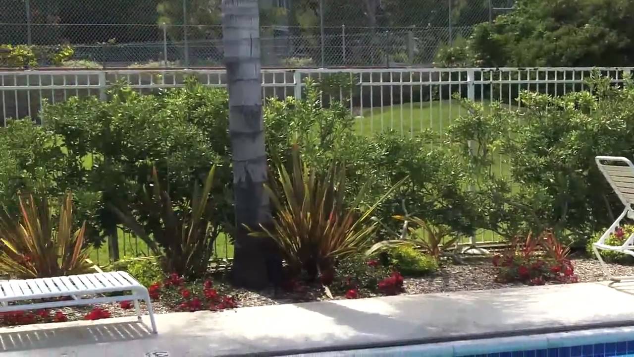 Pool Three Lap Pool SeaBridge Condos Huntington Beach California