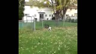 20141104_131257.mp4