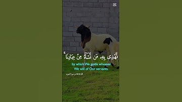 #اكسبلور #المصحف #تيك_توك #تلاوه_خاشعه