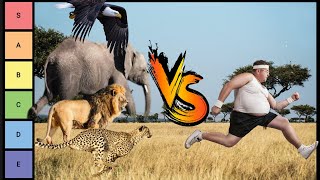 Animals VS humans tier list