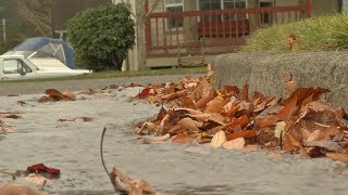 Pierce County News 10/26/17