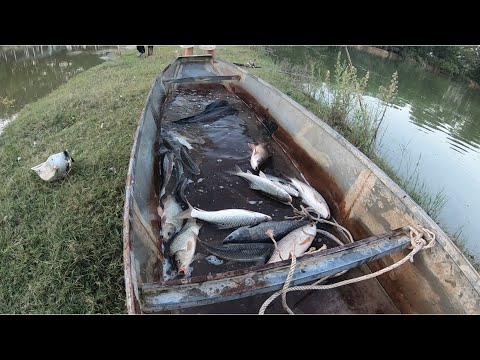 Lại Vả Chủ Hồ Nhưng Trận Này E Tặng Lại Toàn Bộ Cá Cho Chủ Hồ Luôn