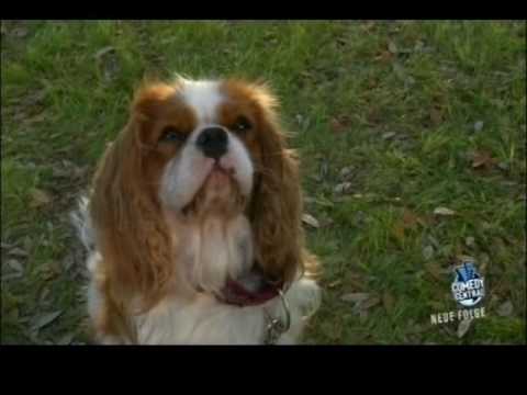 Little Britain USA - Phyllis geht mit Mr. Doggy in...